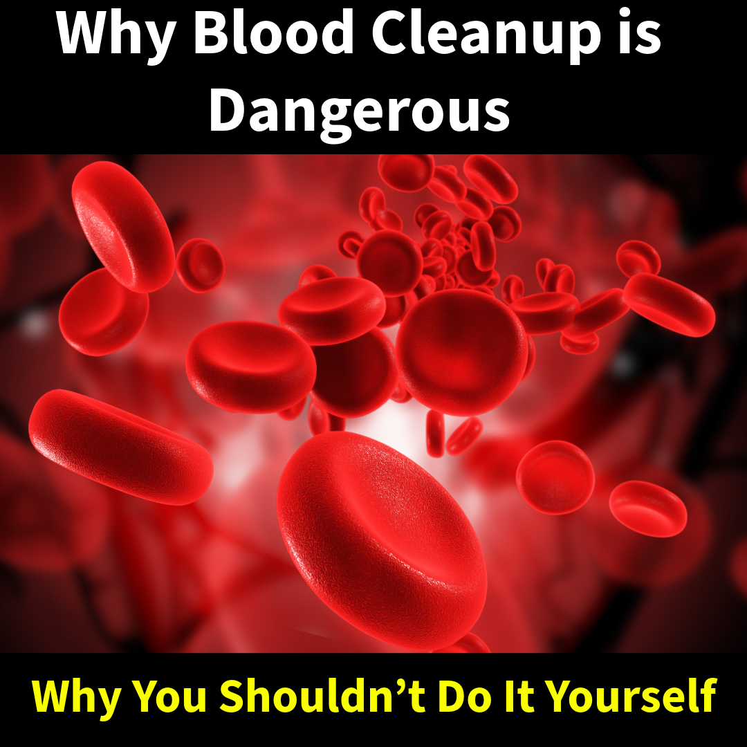 Why Blood Cleanup is Dangerous