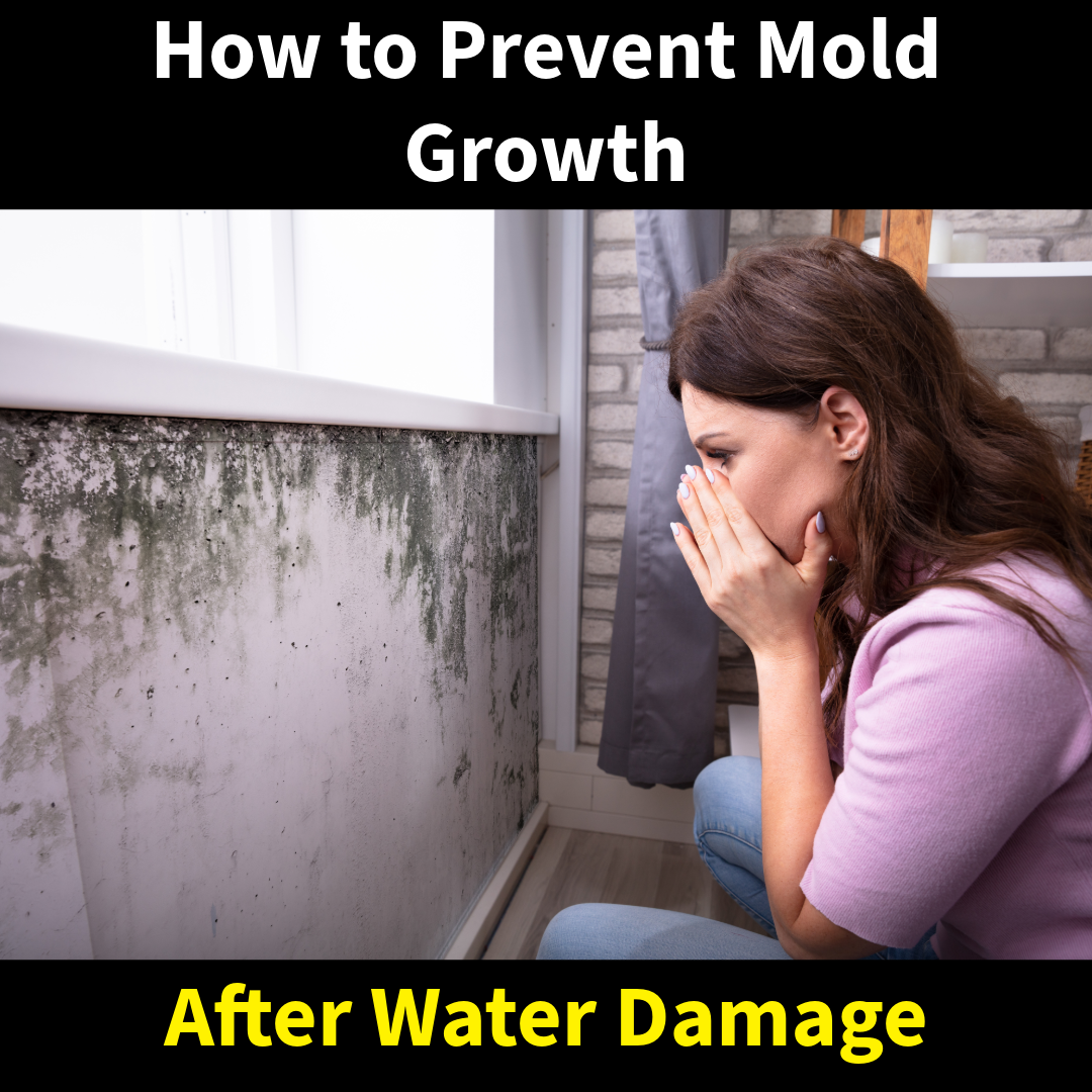 How to Prevent Mold Growth After Water Damage