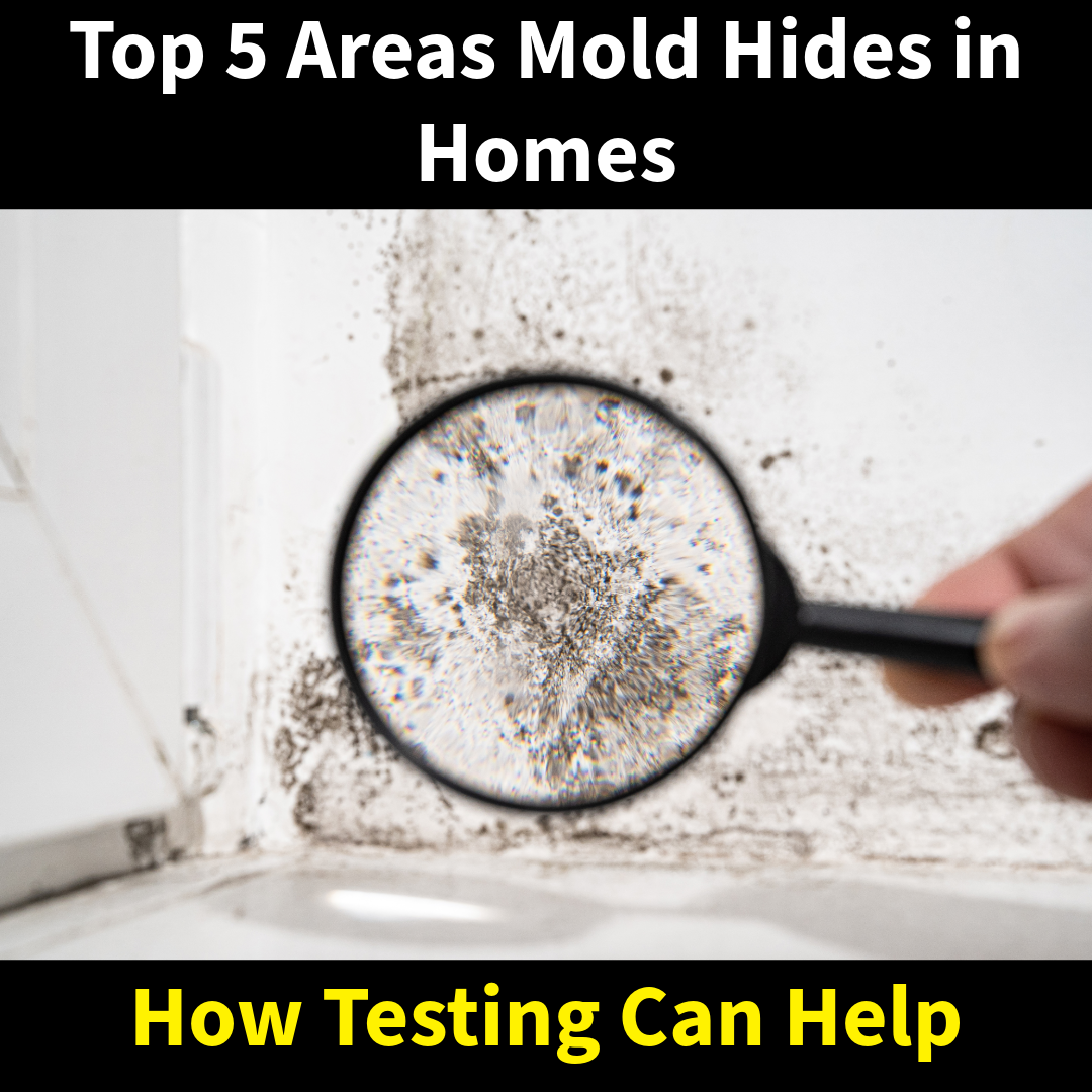 Top 5 Areas Mold Hides in Homes and How Testing Can Help