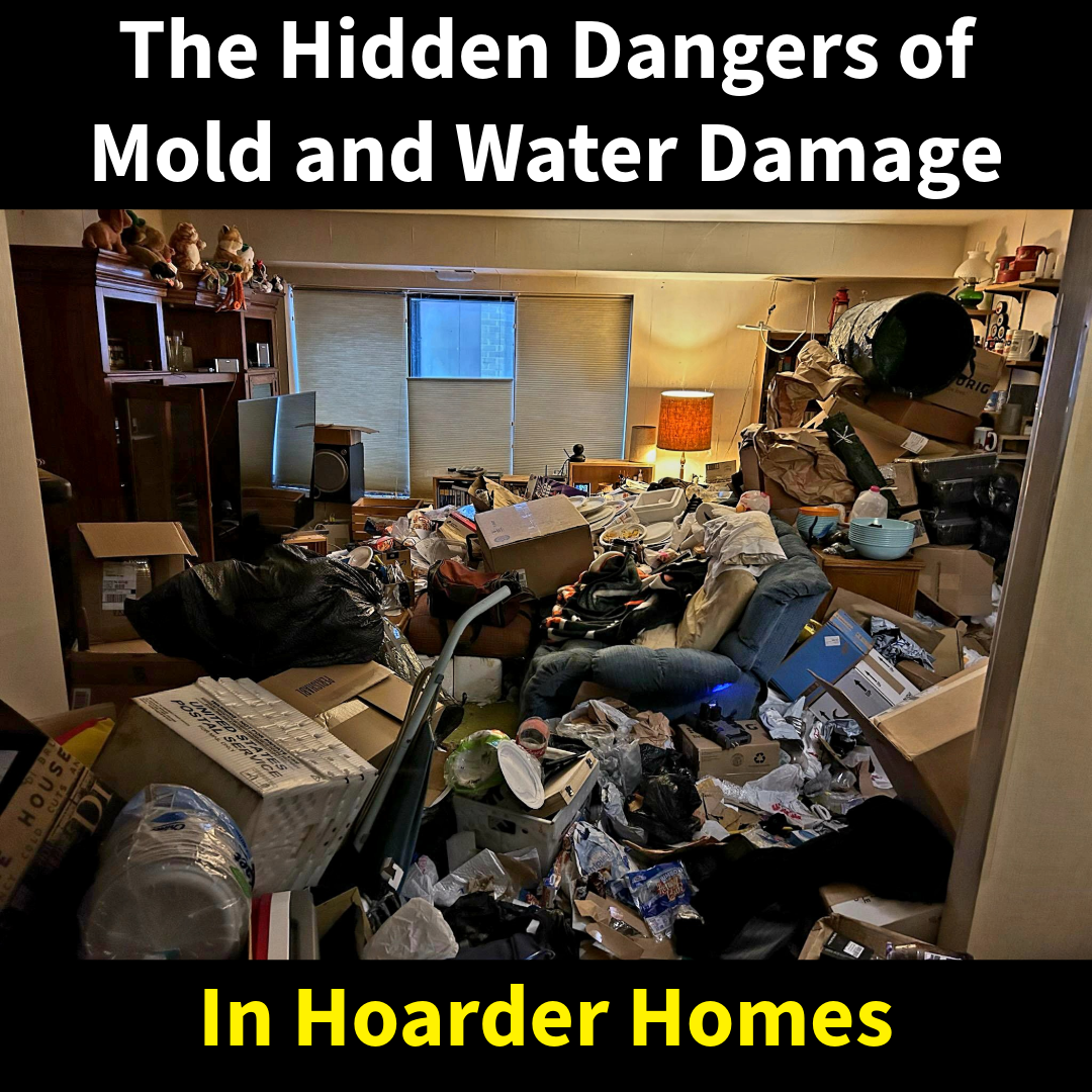 The Hidden Dangers of Mold and Water Damage in Hoarder Homes