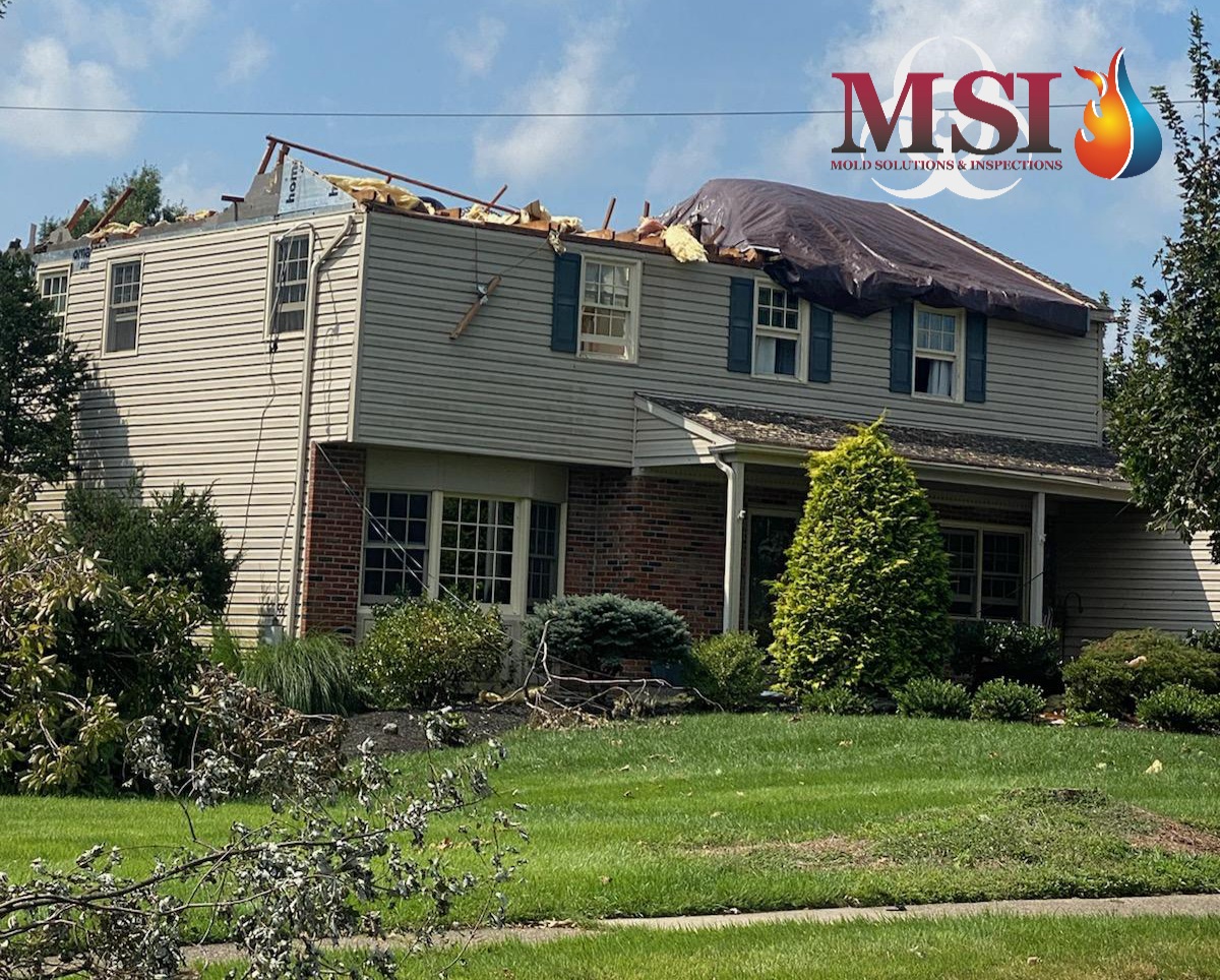 WHAT IS WINDSTORM DAMAGE?