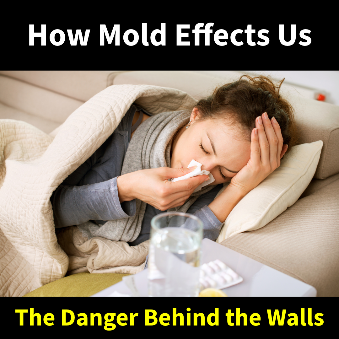 How Mold Effects Us