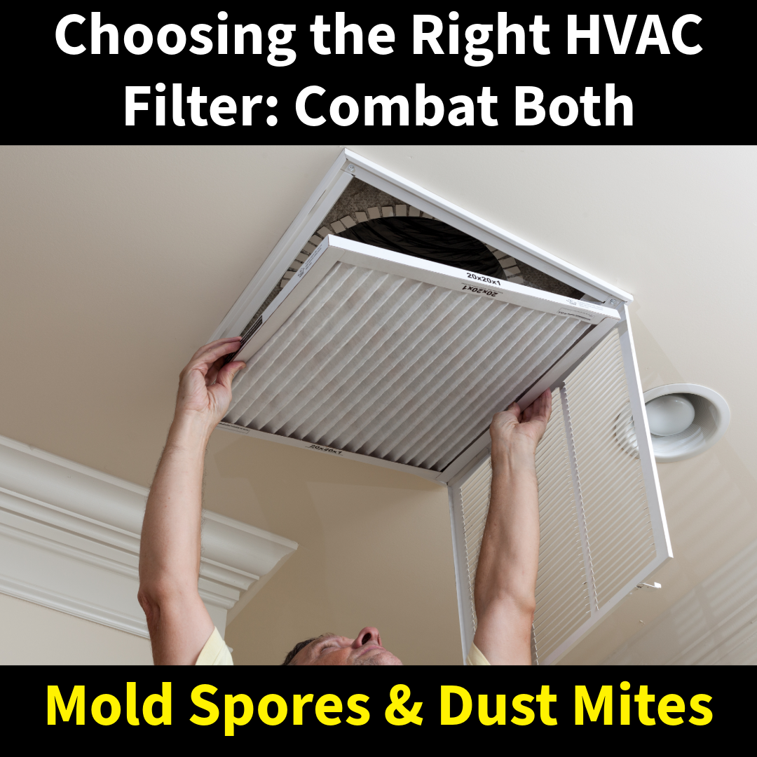 Choosing the Right HVAC Filter: Combat Mold Spores and Dust Mites