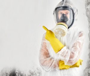 Fire, Water & Mold Remediation Companies | Mold Solutions & Inspections ...